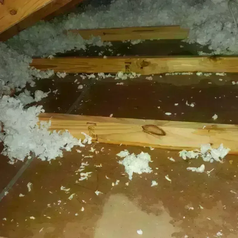 Attic Water Damage in Jackson, LA