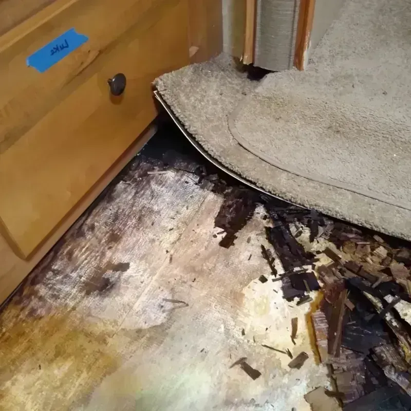 Wood Floor Water Damage in Jackson, LA